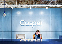 <strong>殿堂级全铝墙板：70丝超厚铝面与3*3高密蜂芯的匠心之作</strong>